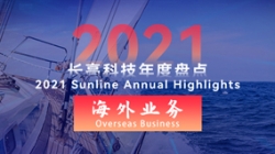 2021長亮海外業務 | 劈波斬浪,再創新榜